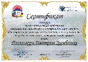 ДостиженияИП - 0011.jpg