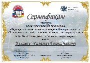 ДостиженияИП - 0007.jpg